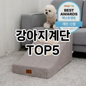 인기 많은 강아지계단 추천 TOP 5!!