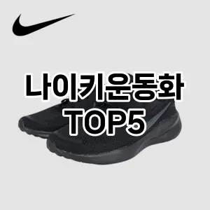 2024년 인기 많은 나이키운동화 추천 TOP 5!!