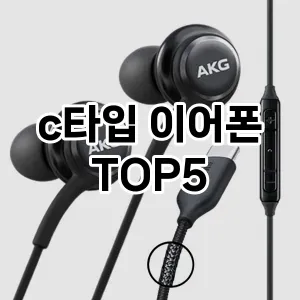 후기 좋은 c타입 이어폰 추천 TOP 5!!