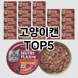 인기 많은 고양이캔 추천 TOP 5!!