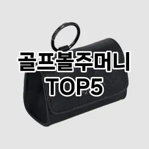 잘 팔리는 골프볼주머니 추천 TOP 5!!