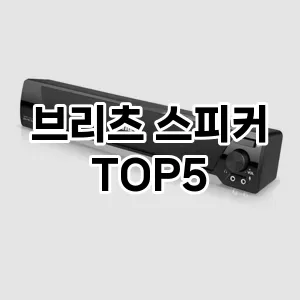 잘 팔리는 브리츠 스피커 추천 TOP 5!!