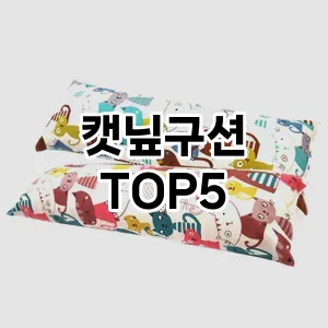 후기 좋은 캣닢구션 추천 TOP 5!!