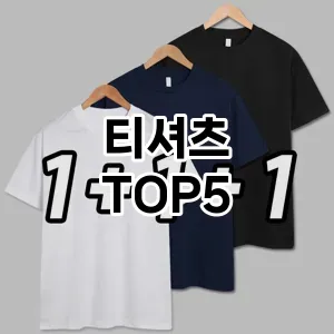 후기 좋은 티셔츠 추천 TOP5!!