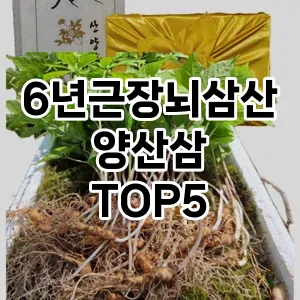 인기 많은 6년근장뇌삼산양산삼 추천 TOP5!!